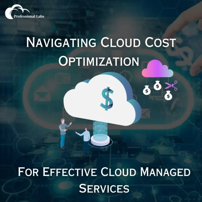 Navigating Cloud Cost Optimization for Effective Cloud Managed Services